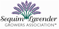 Lavender Farm in Sequim